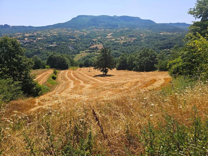 Image No.4-Jumelé de 2 chambres à vendre à Chieti