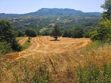 WhatsApp-Image-2025-09-03-at-09-53-38--5-