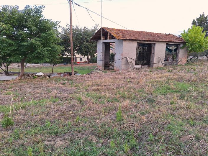 Image No.21-Maison / Villa de 2 chambres à vendre à Casoli