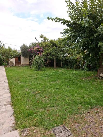 Image No.35-Maison / Villa de 3 chambres à vendre à Sant' Eusanio Del Sangro