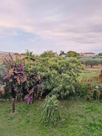 Image No.21-Maison / Villa de 3 chambres à vendre à Sant' Eusanio Del Sangro