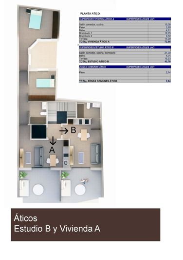 Image No.3-Penthouse for sale