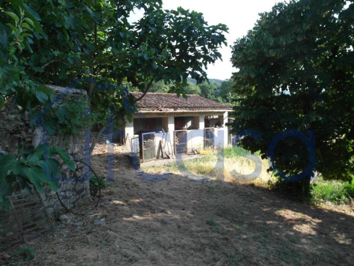 Image No.4-Ferme de 4 chambres à vendre à Anghiari