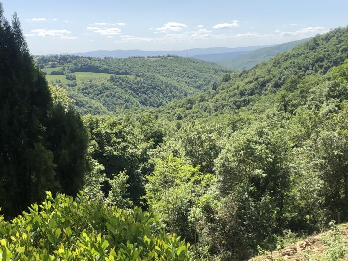 Image No.12-1 Bed Apartment for sale