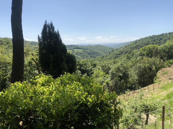 Image No.11-1 Bed Apartment for sale