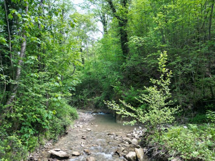 Image No.20-Villa / Détaché de 4 chambres à vendre à Pieve Santo Stefano