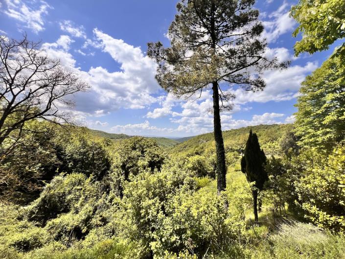 Image No.28-1 Bed Apartment for sale