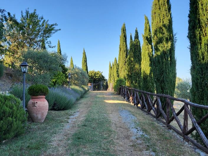 Image No.31-Propriété de pays de 9 chambres à vendre à Anghiari