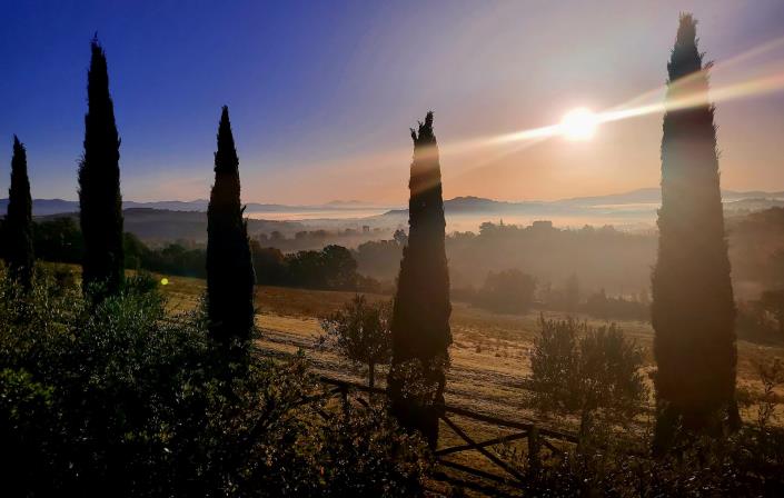 Image No.36-Propriété de pays de 9 chambres à vendre à Anghiari