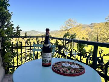 BT347-9--living-room-balcony-