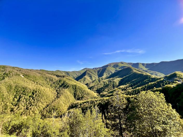 Image No.3-1 Bed Semi-Detached for sale