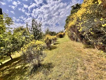 Appartamenti-La-Sceggia-garden4