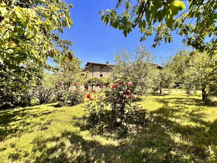 Image No.2-Ferme de 3 chambres à vendre à Anghiari