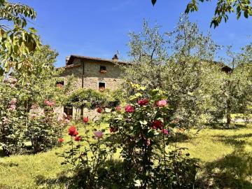 A349-Casale-Daniela-3