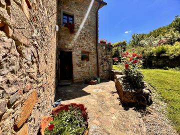 A349-Casale-Daniela-11