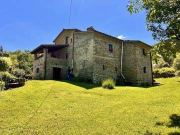 A349-Casale-Daniela-12