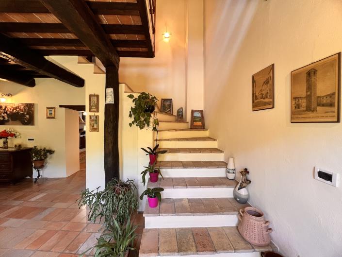 Image No.19-Ferme de 3 chambres à vendre à Anghiari