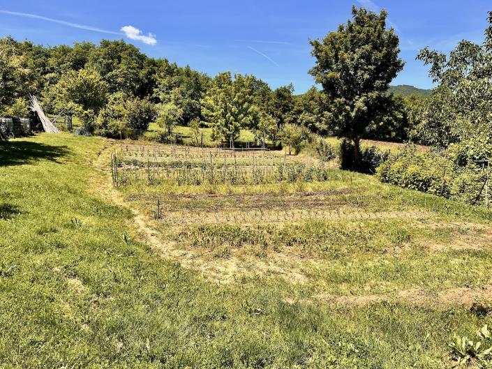 Image No.57-Ferme de 3 chambres à vendre à Anghiari