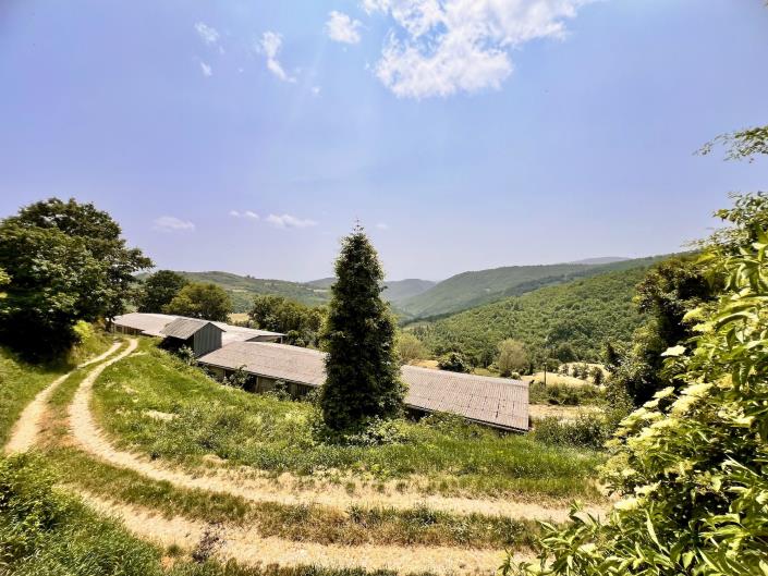 Image No.36-Propriété de pays de 3 chambres à vendre à Chiusi della Verna