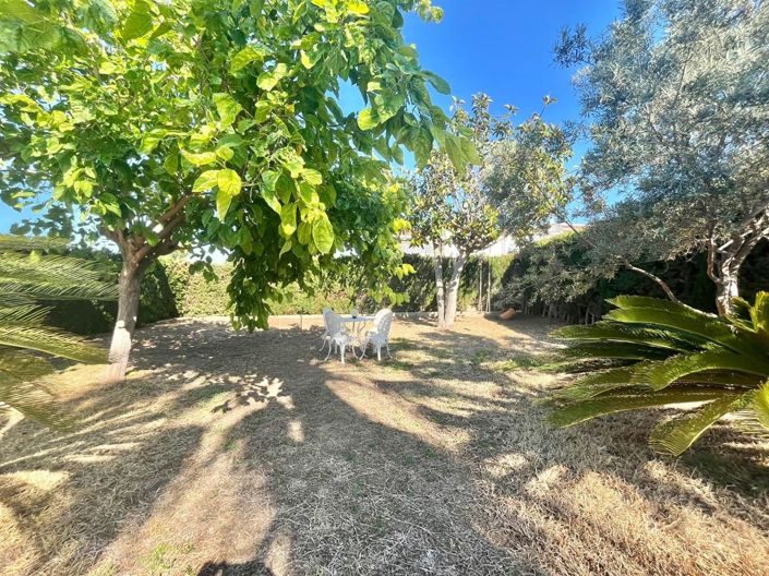 Image No.6-Villa de 3 chambres à vendre à Torrevieja