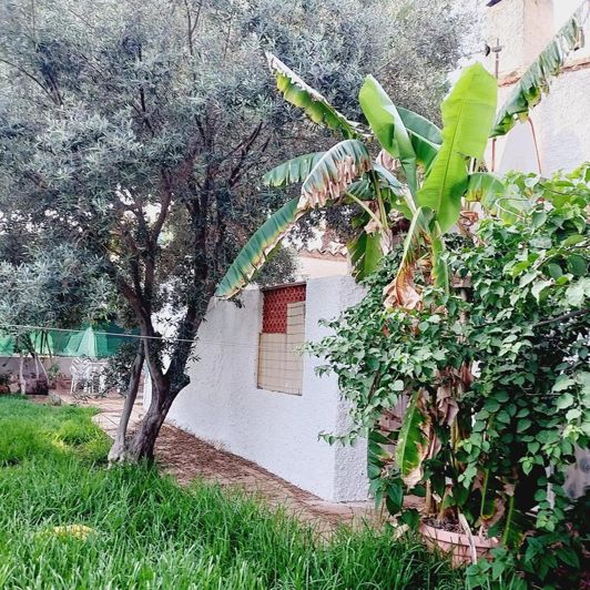 Image No.26-4 Bed Villa for sale