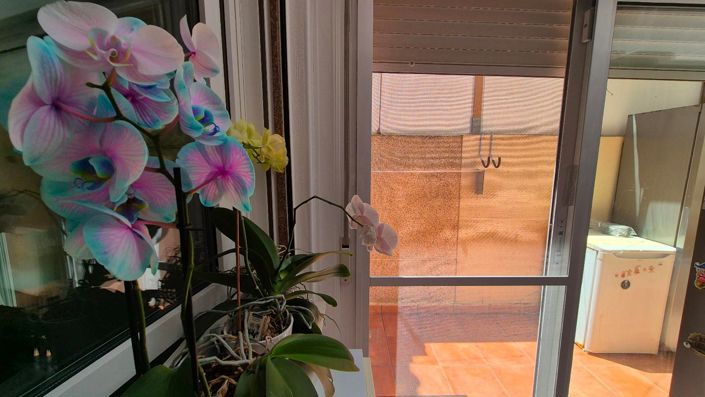 Image No.8-Maison de 3 chambres à vendre à Torrevieja