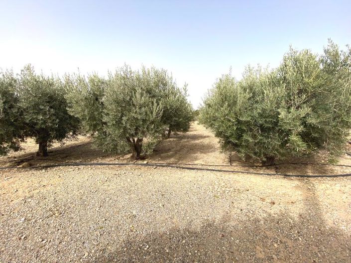 Image No.10-Propriété à vendre à Huercal-Overa