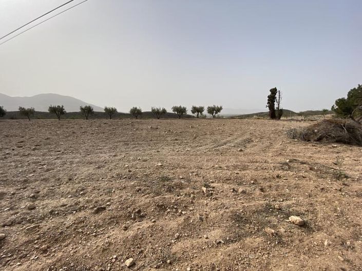 Image No.3-Propriété à vendre à Huercal-Overa