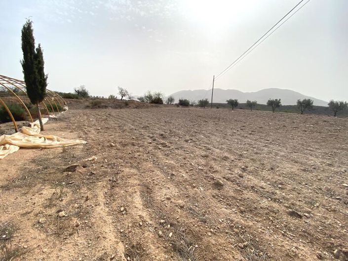 Image No.5-Propriété à vendre à Huercal-Overa