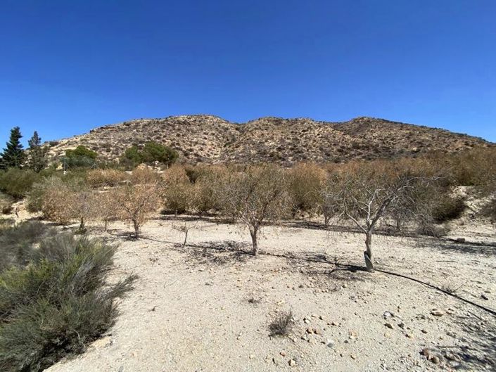 Image No.8-4 Bed Property for sale