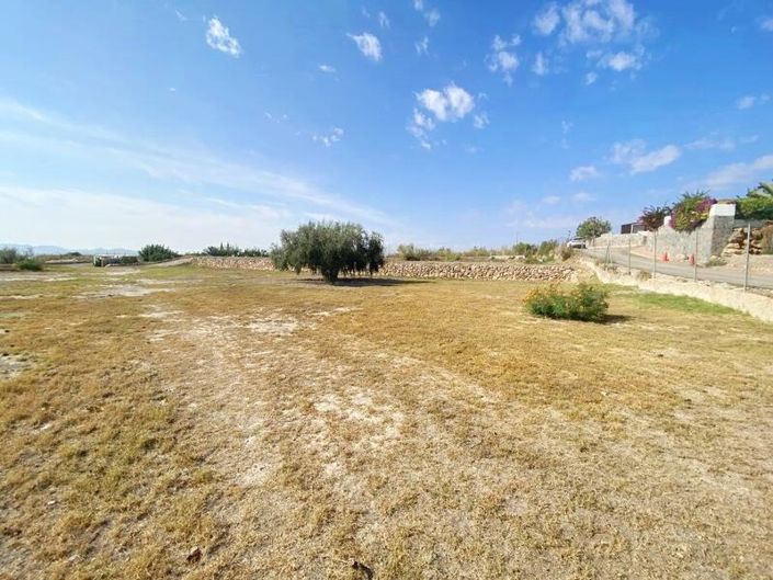 Image No.23-Propriété de 2 chambres à vendre à Huercal-Overa