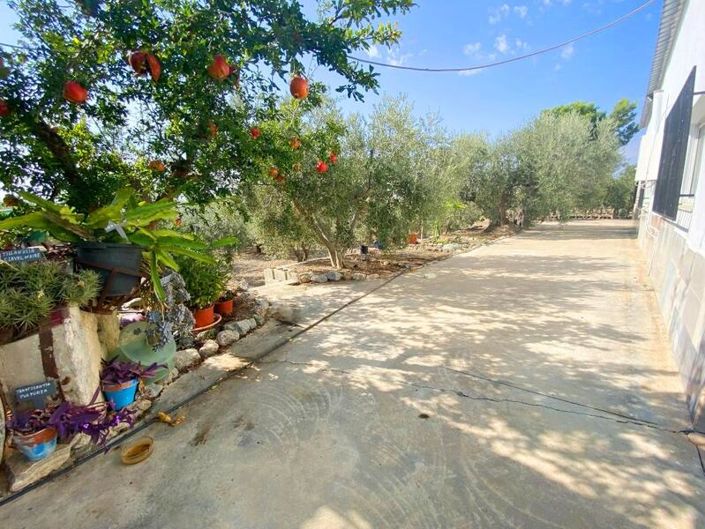 Image No.8-Propriété de 2 chambres à vendre à Huercal-Overa