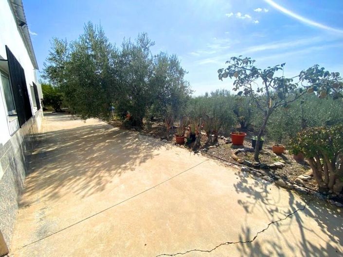 Image No.9-Propriété de 2 chambres à vendre à Huercal-Overa