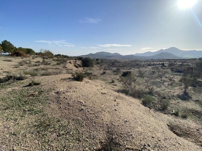 Image No.3-Propriété à vendre à Almeria