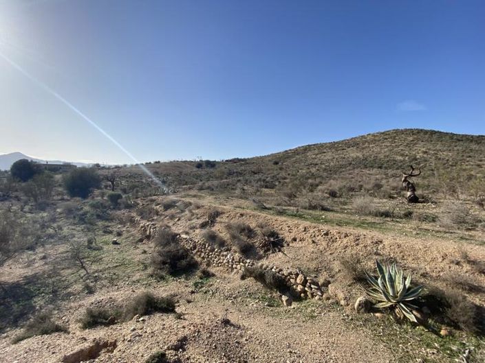 Image No.6-Propriété à vendre à Almeria