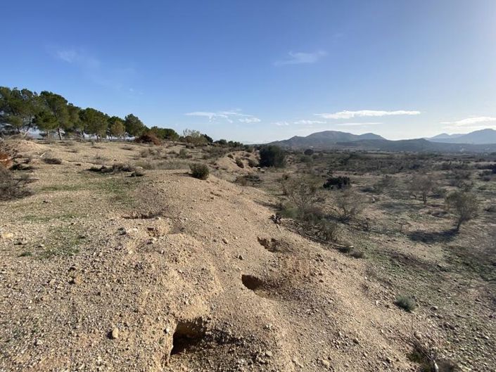 Image No.7-Propriété à vendre à Almeria