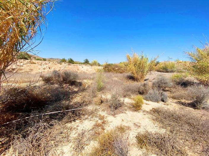 Image No.4-Propriété à vendre à Huercal-Overa