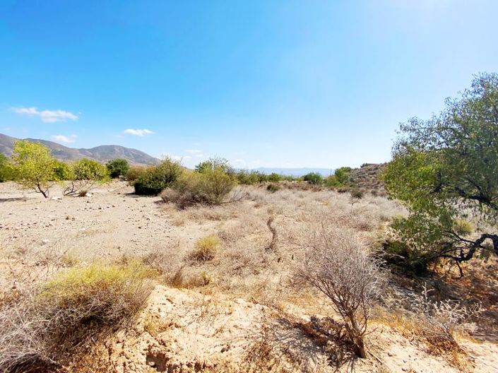 Image No.5-Propriété à vendre à Huercal-Overa