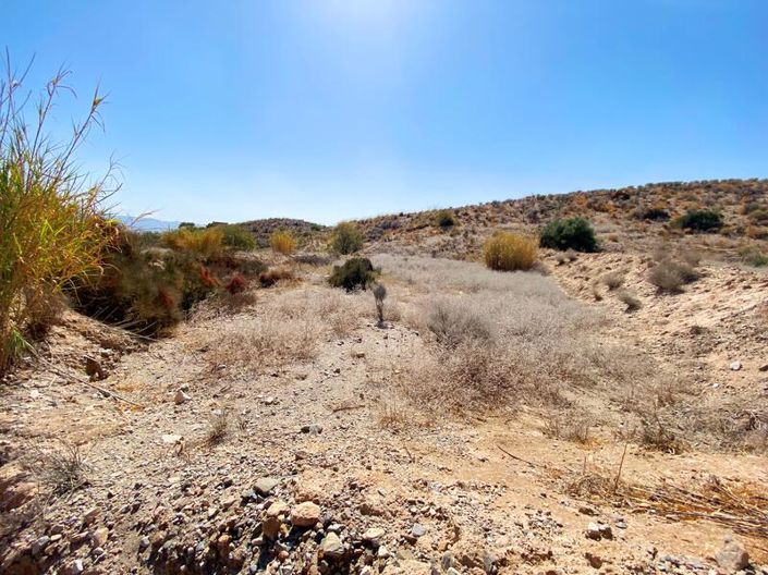 Image No.9-Propriété à vendre à Huercal-Overa