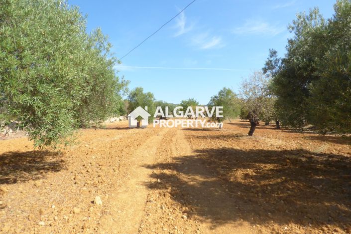 Image No.7-Land for sale