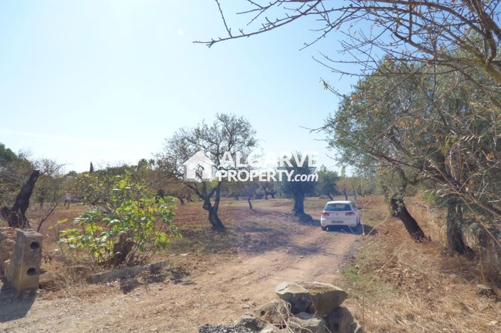 Image No.9-Land for sale