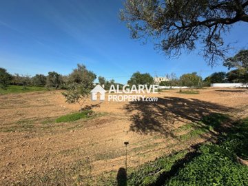 3-11146-78d1f4f8b6655591b02d22fabb36a692d73cc