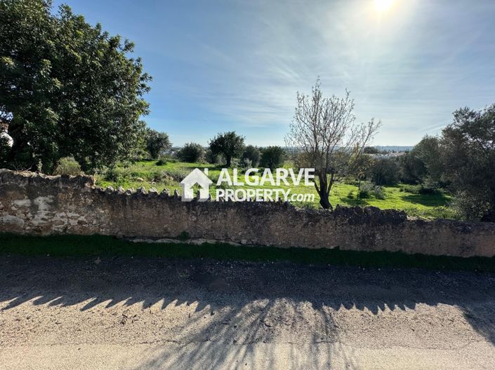 Image No.7-Terre à vendre à Boliqueime