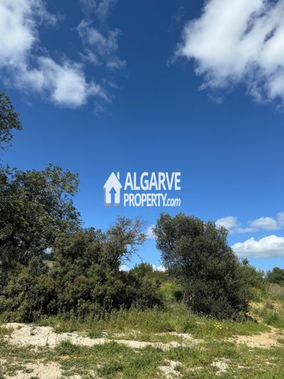 Image No.14-Terre à vendre à Almancil