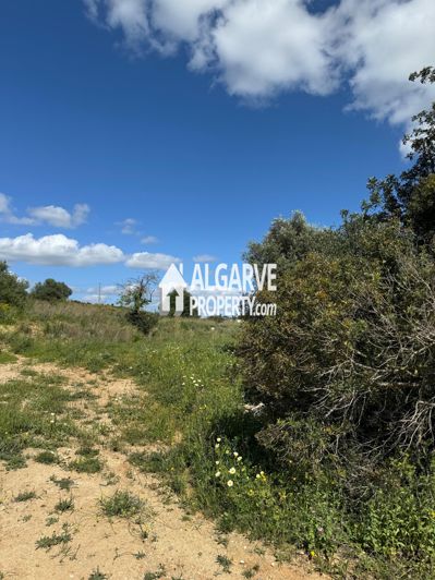 Image No.15-Terre à vendre à Almancil