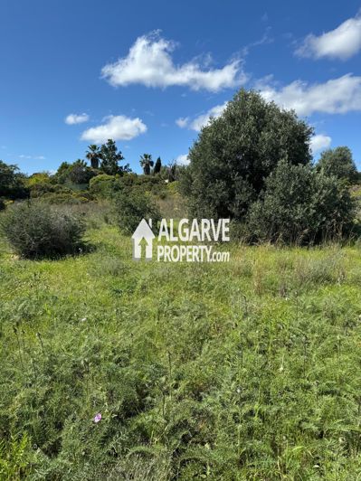 Image No.3-Terre à vendre à Almancil
