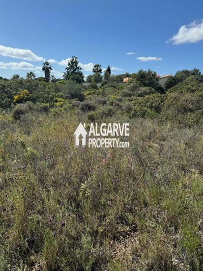 Image No.4-Terre à vendre à Almancil