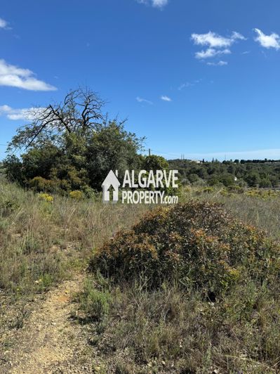 Image No.5-Terre à vendre à Almancil