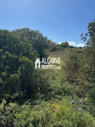 Image No.7-Terre à vendre à Almancil