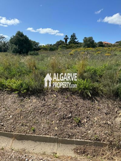 Image No.8-Terre à vendre à Almancil